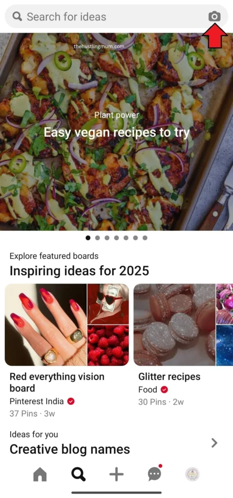 reverse image search on Pinterest